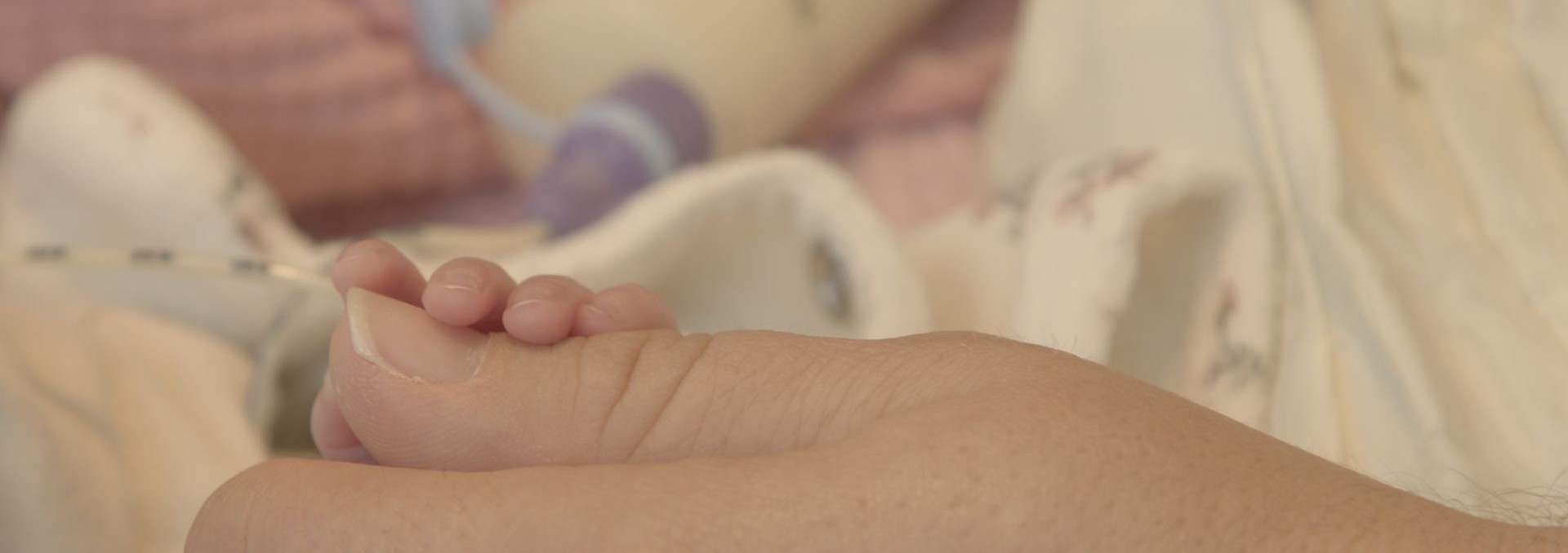Tätigkeitsberichte von Frühchen & Neokinder Schweiz
