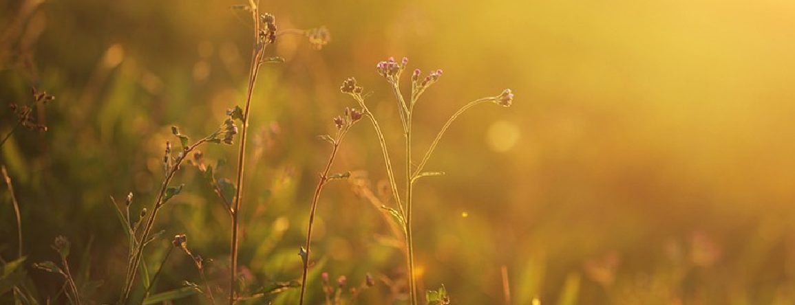 Sonnenuntergang — Medienbild von Frühchen & Neokinder Schweiz