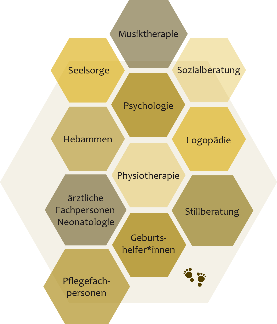 Übersicht der elf Fachrichtungen im Fachexpert*innenteam von Frühchen & Neokinder Schweiz